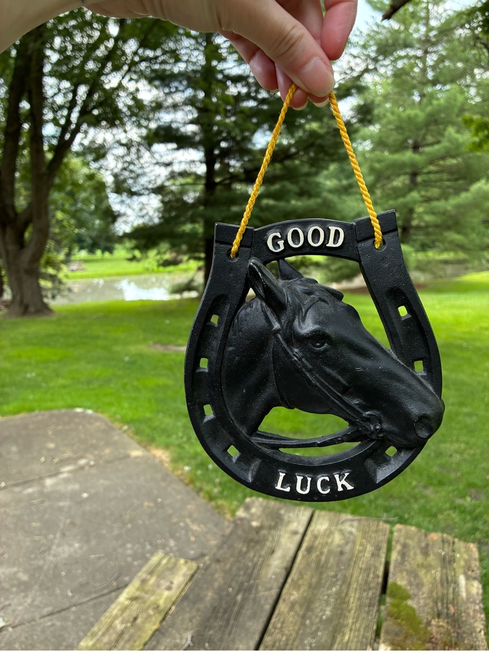Antique Good Luck Horseshoe Wall Hanging